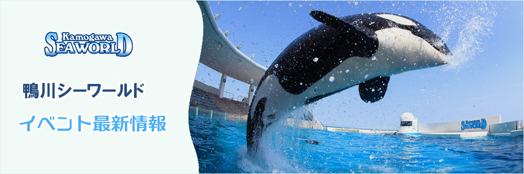 鴨川シーワールド最新情報
