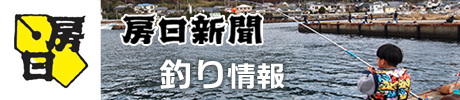 釣り情報