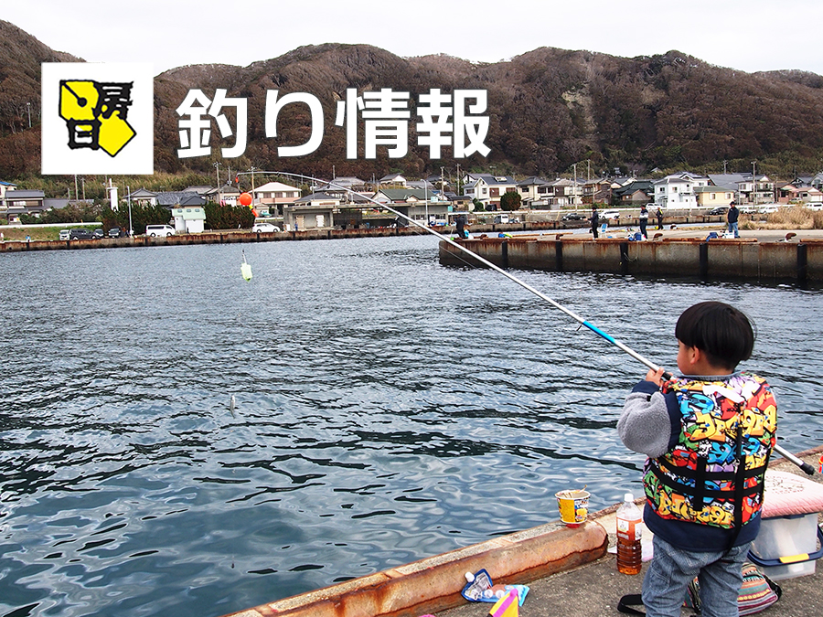 南房総地域の釣り情報掲載　釣り上げた魚の写真を募集‼【房日新聞】